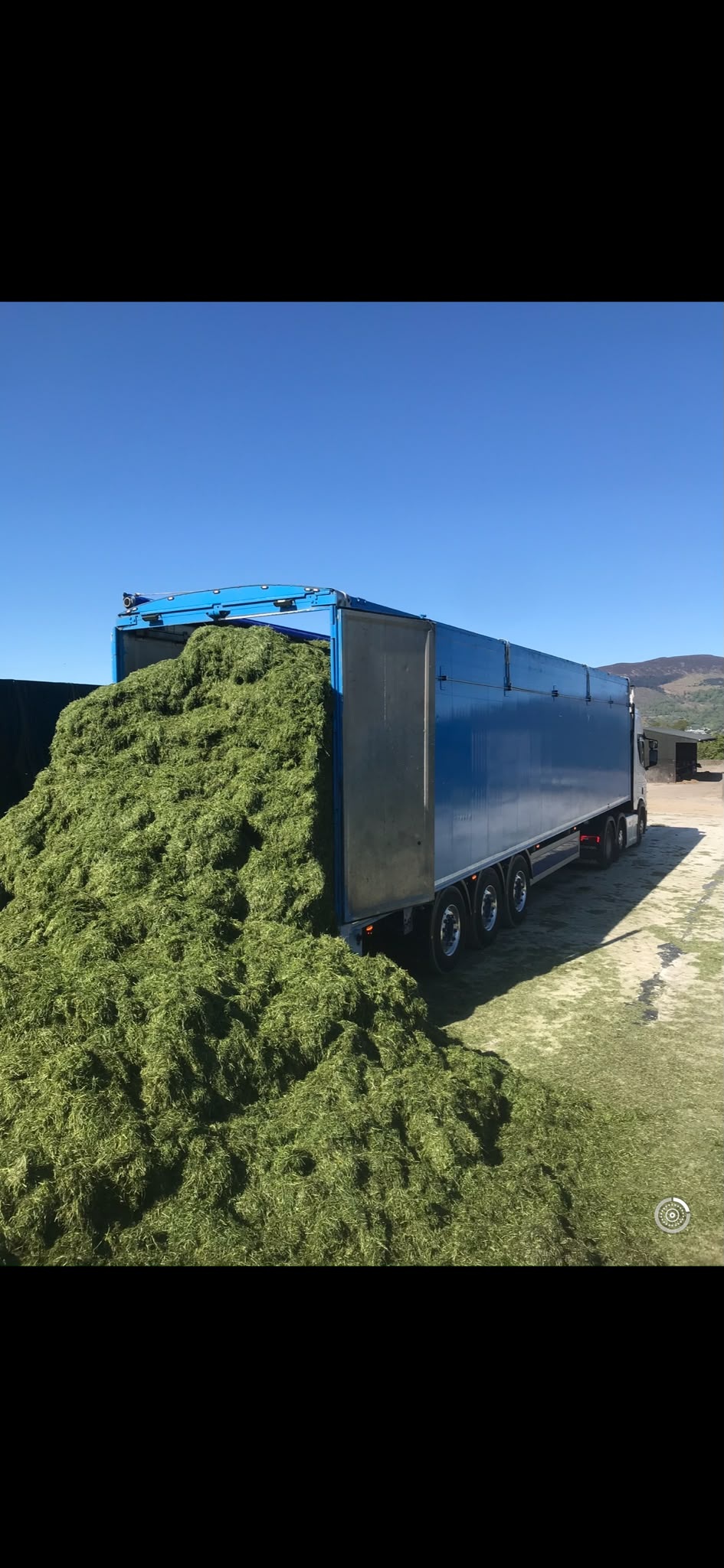 Blue bulk trailer unloading green agricultural material